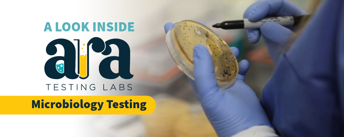 Featured image for “Inside Ara Testing Labs”